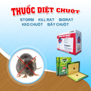 Biorat là sự lựa chọn thông minh - SÁNG TẠO VUI