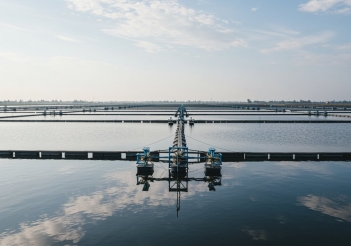 Kỹ thuật nuôi tôm thẻ chân trắng quảng canh kết hợp nuôi ghép - SÁNG TẠO VUI