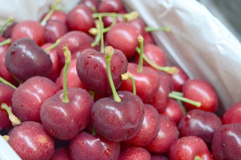 Trái cherry trị bệnh gì? Những công dụng sức khỏe dễ nhận thấy - SÁNG TẠO VUI