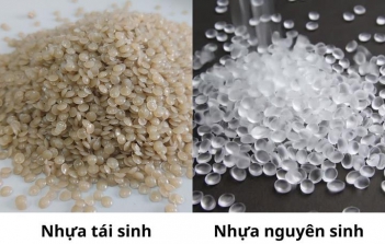 Hạt nhựa HDPE tái sinh và hạt nhựa nguyên sinh HDPE khác nhau như thế nào?